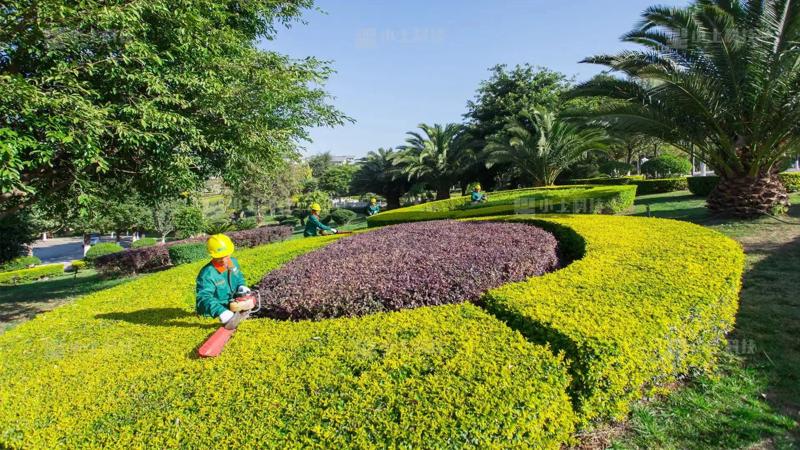 綠化養(yǎng)護(hù)15